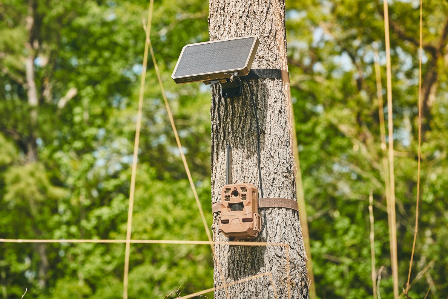 Moultrie Mobile 3.4W Universal Solar Power Pack | Academy