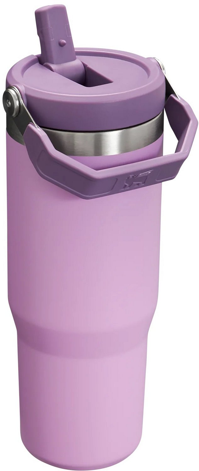 Stanley The IceFlow 30 oz Classic Flip Straw Tumbler                                                                             - view number 2