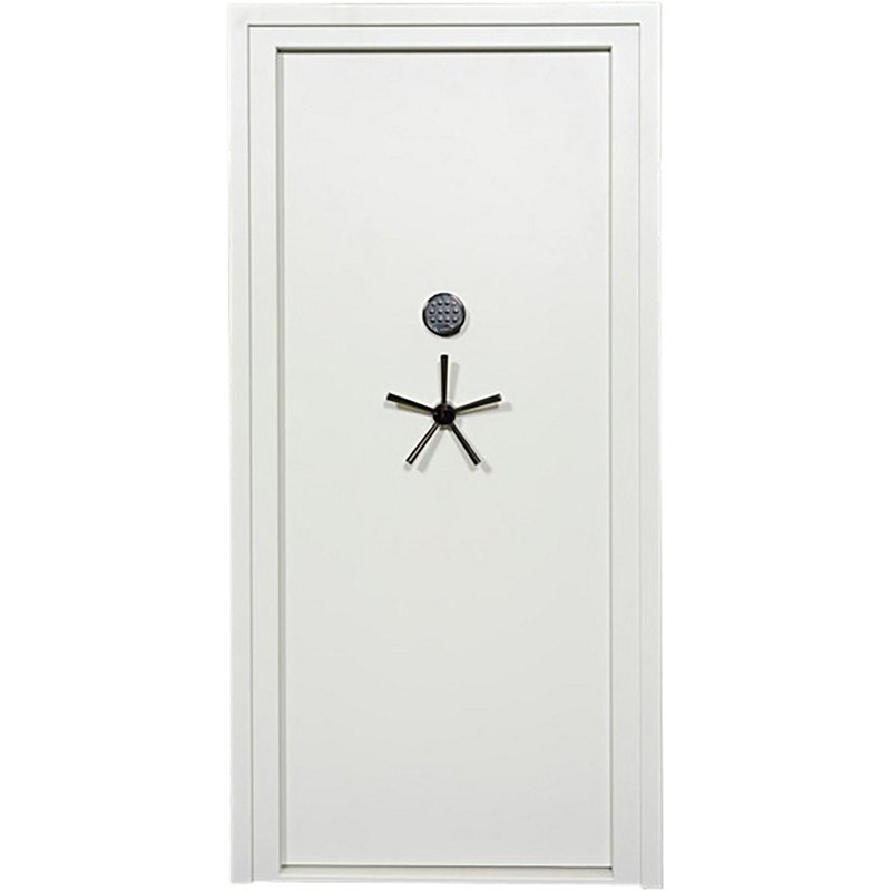 Snapsafe Premium Va…