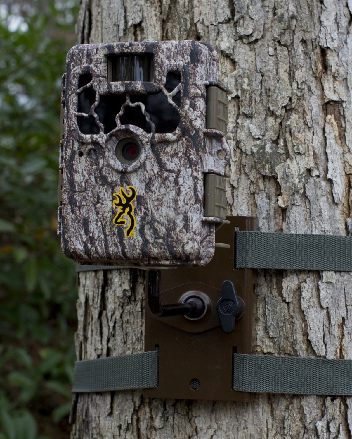 Browning Tree Mount                                                                                                              - view number 2
