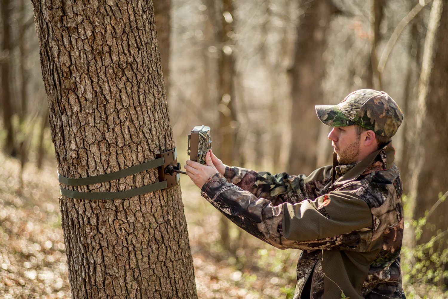 Browning Tree Mount                                                                                                              - view number 4