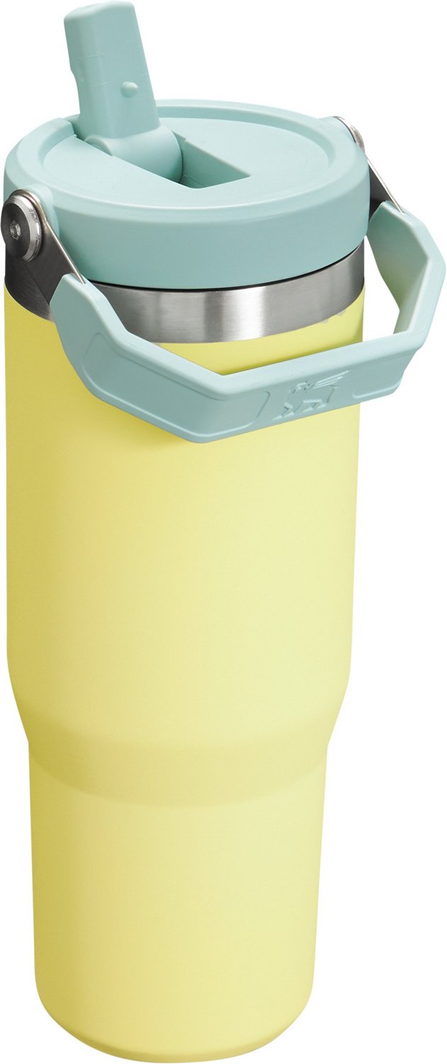 Stanley The IceFlow 30 oz Classic Flip Straw Tumbler - view number 2