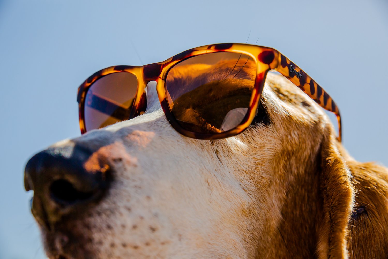 goodr OG Classic Frame Sunglasses - view number 4