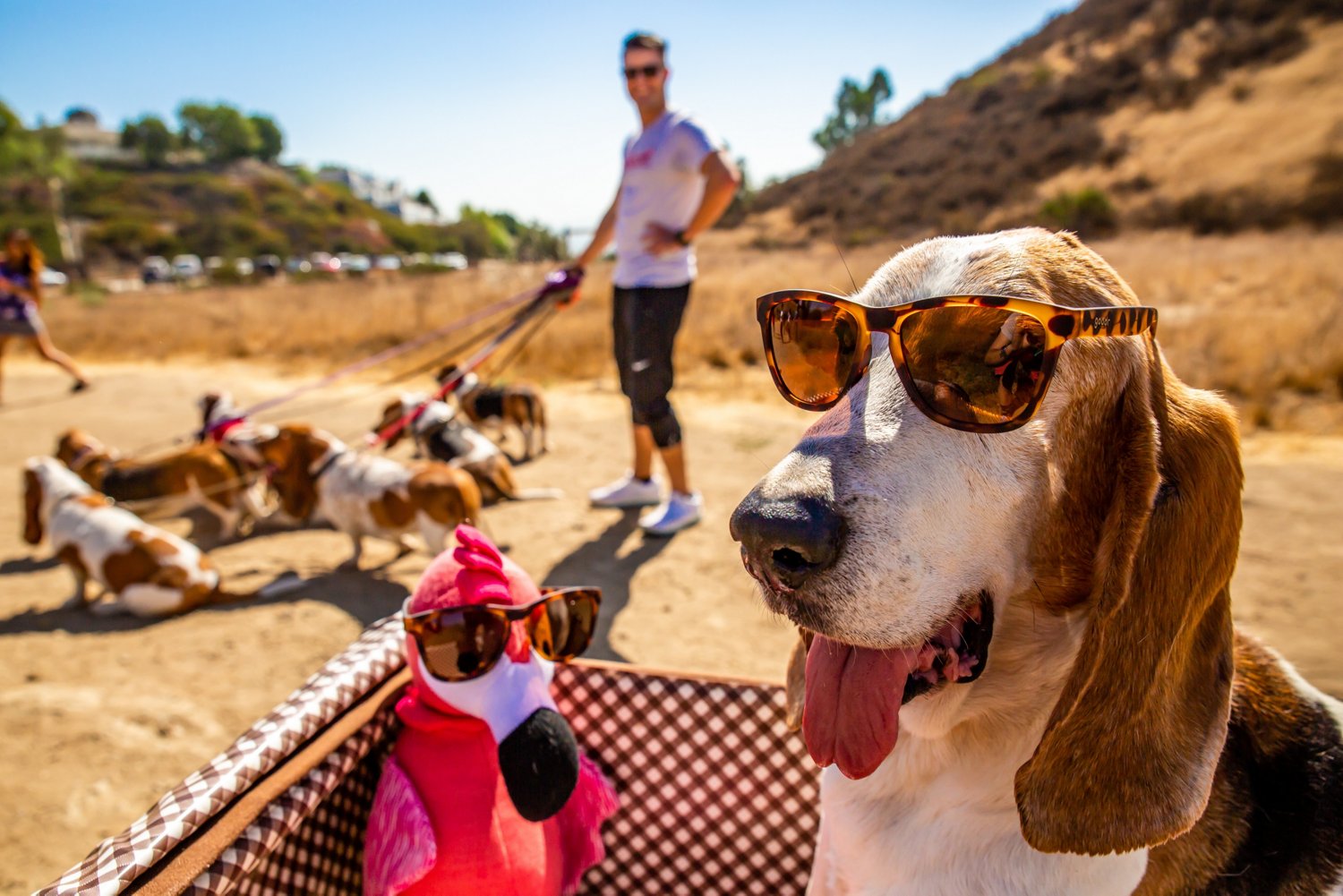 goodr OG Classic Frame Sunglasses - view number 5