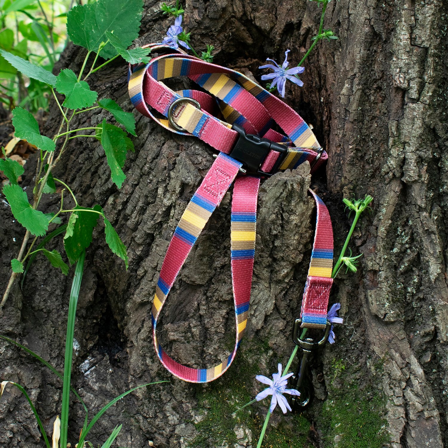 Pendleton Zion National Park Adventure Collar                                                                                    - view number 4
