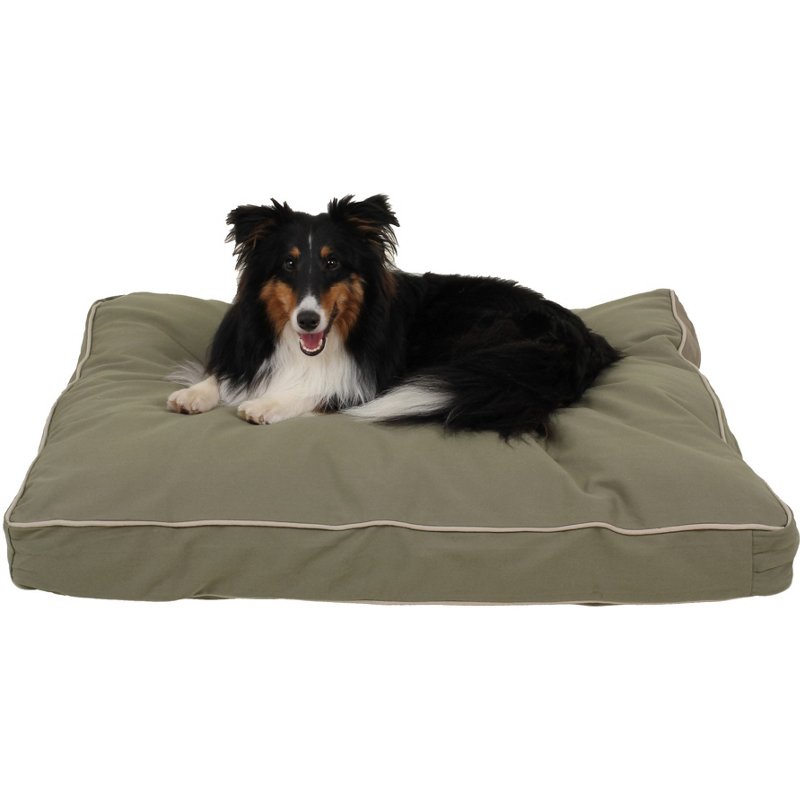 Carolina Pet Compan… - image