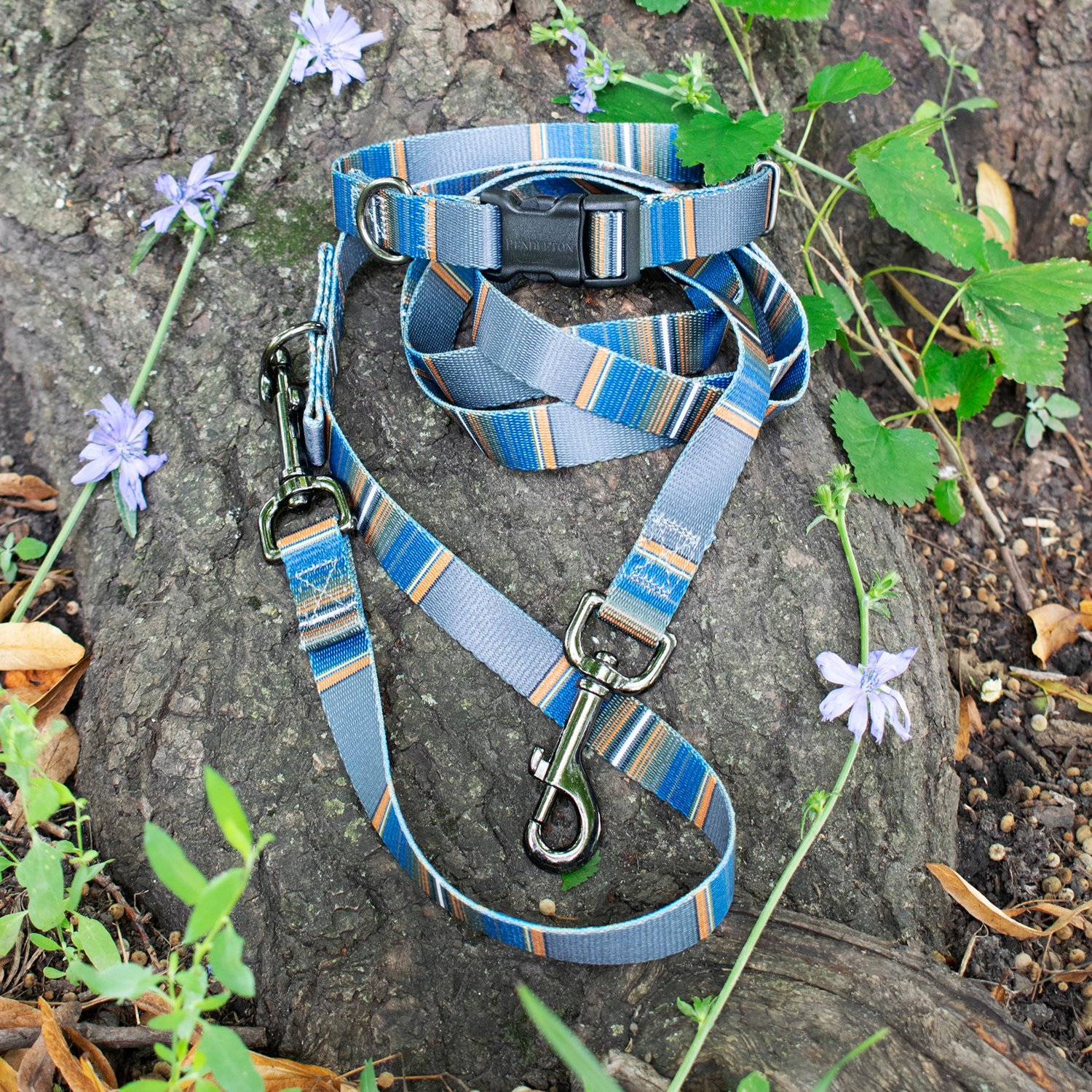 Pendleton Olympic National Park Adventure Collar                                                                                 - view number 4