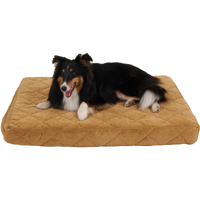 Carolina Pet Compan… - image