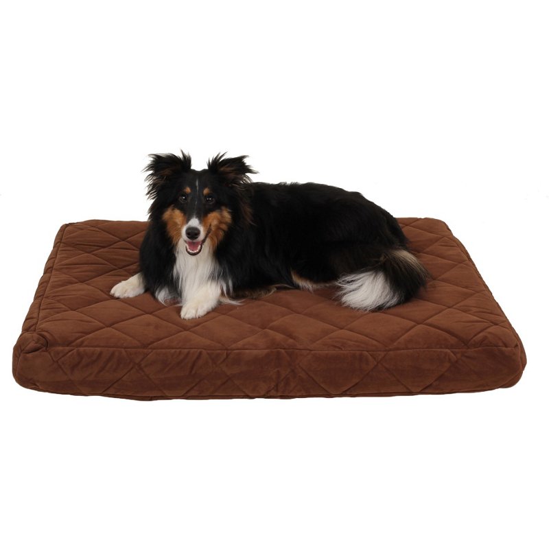 Carolina Pet Compan… - image