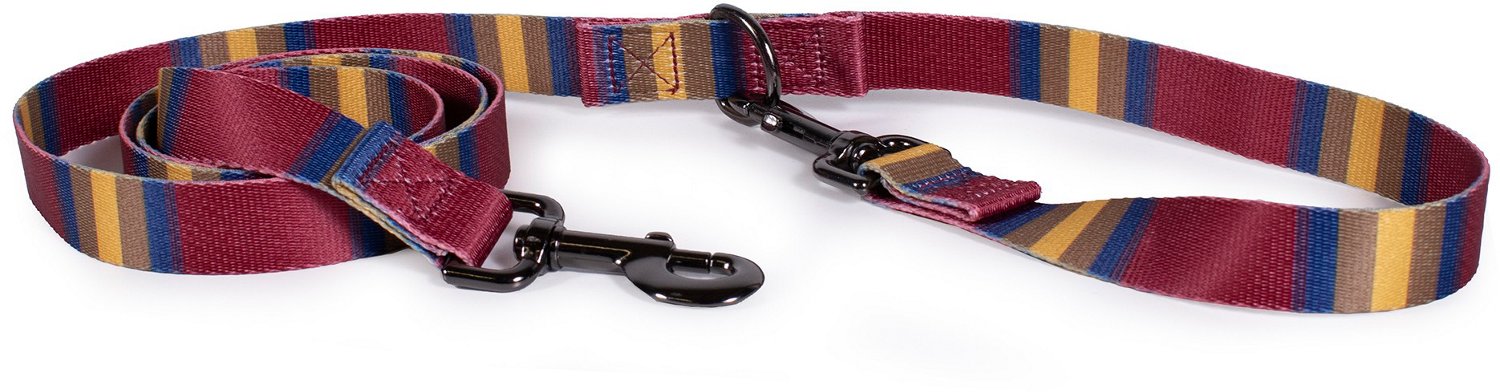 Pendleton Zion National Park Adventure Leash 3/4 in | Academy