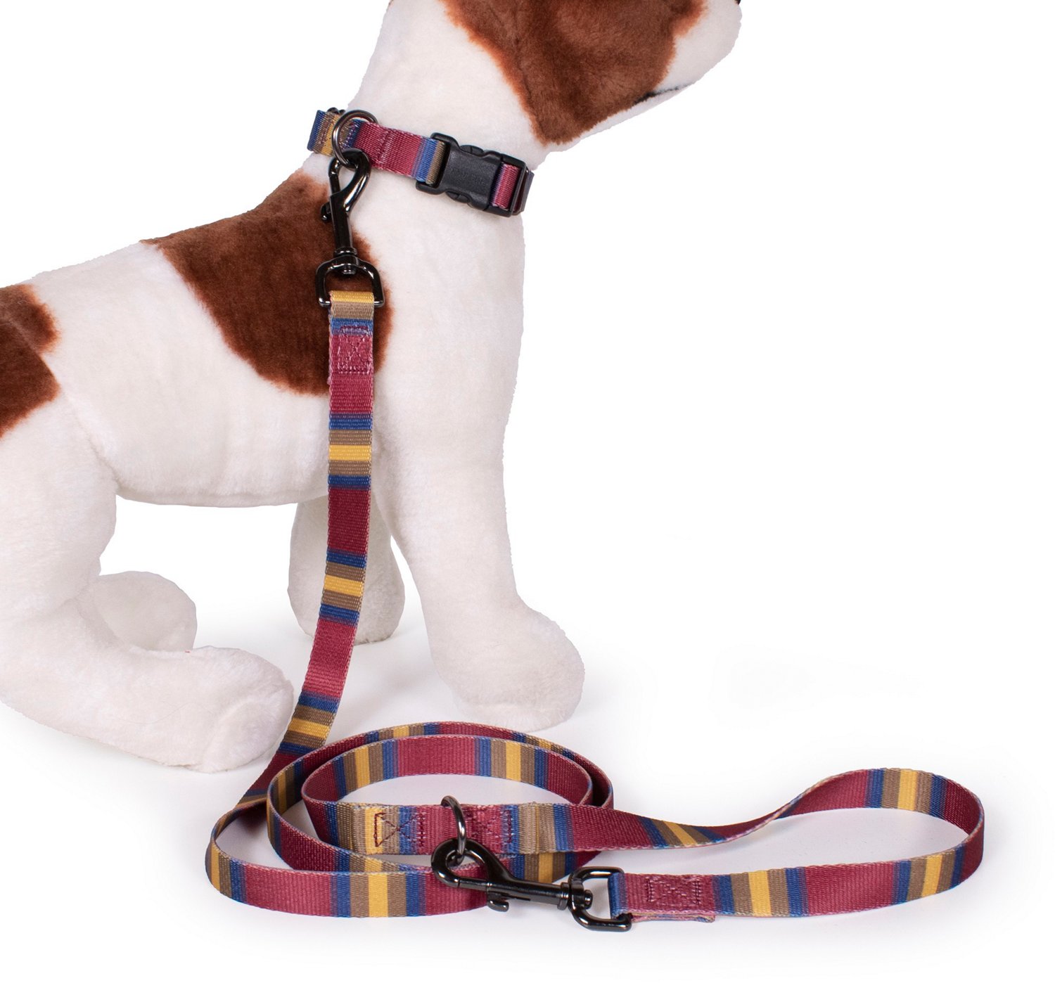 Pendleton Zion National Park Adventure Leash 3/4 in