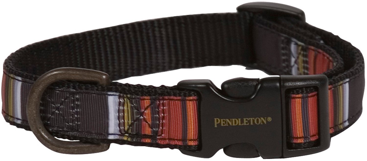 Pendleton Acadia National Park Dog Collar