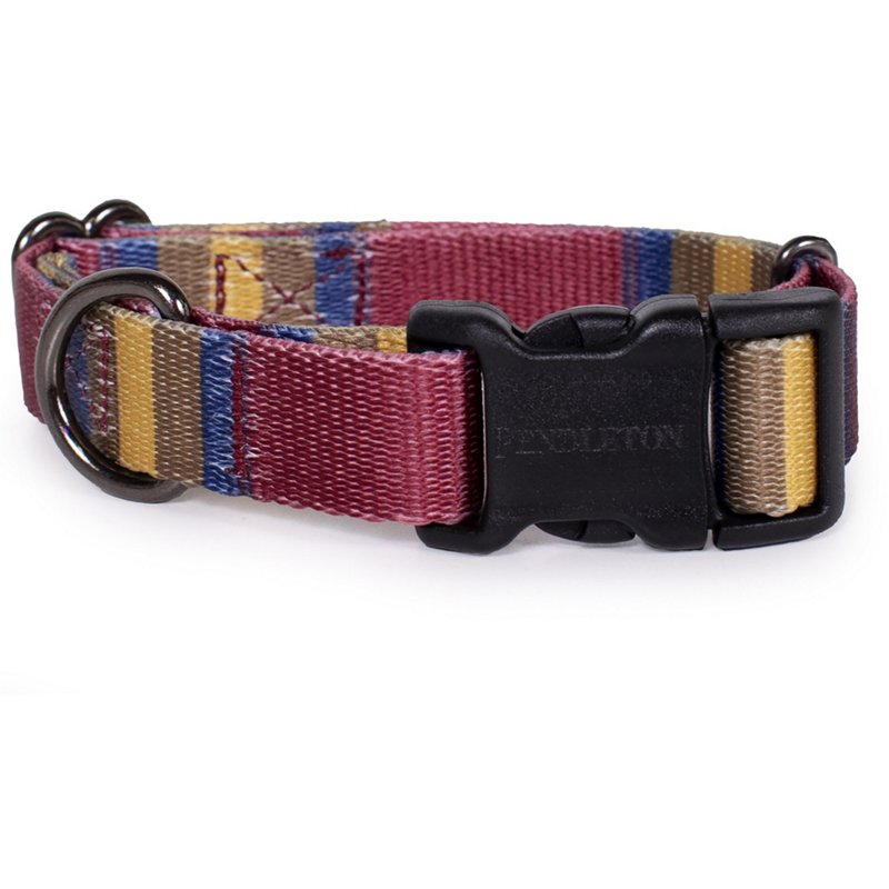 Pendleton Zion Nati… - image