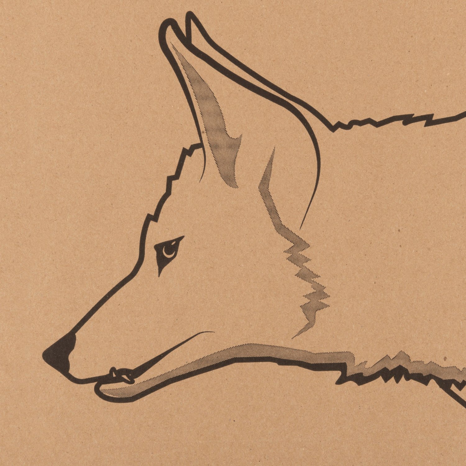 Allen Company EZ Aim® Coyote Corrugated Silhouette 35 in x 23 in Paper Shooting Target - view number 2