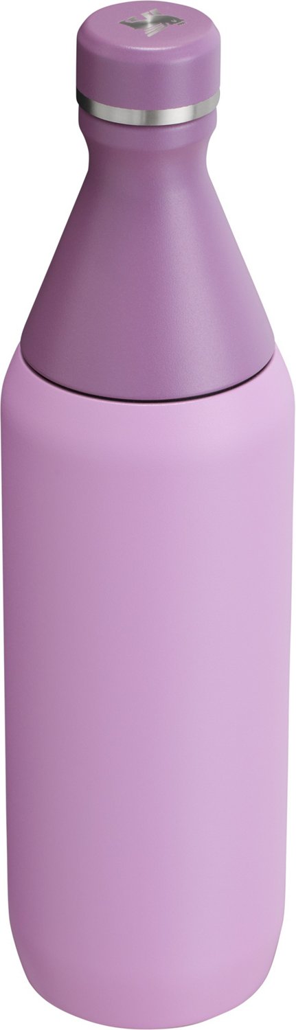 Stanley All Day 20 oz Slim Bottle - view number 2