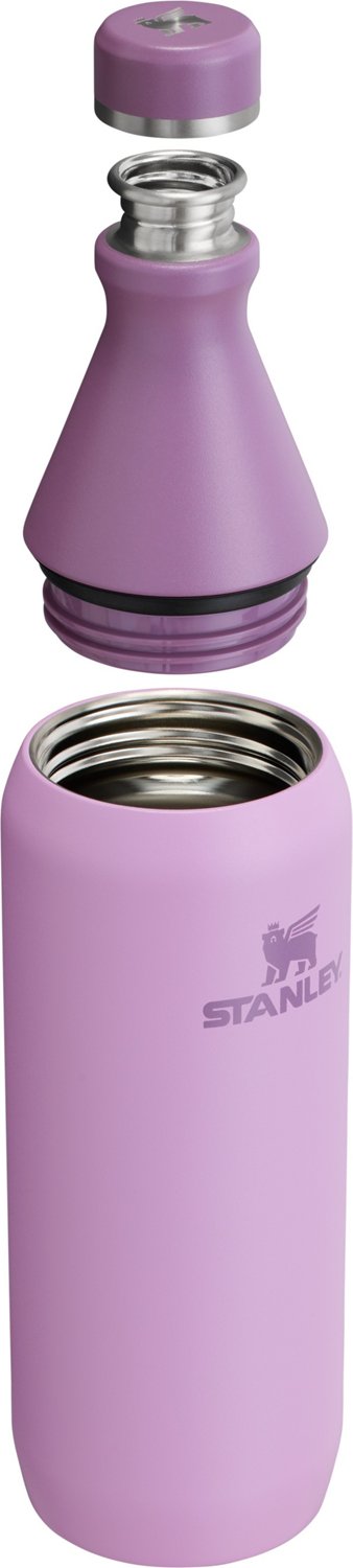 Stanley All Day 20 oz Slim Bottle - view number 3