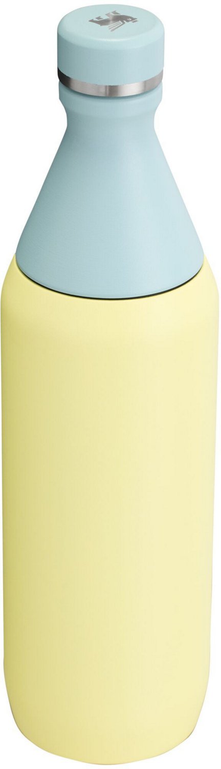 Stanley All Day 20 oz Slim Bottle - view number 2