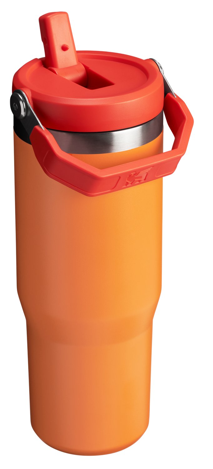 Stanley The IceFlow 30 oz Classic Flip Straw Tumbler                                                                             - view number 2