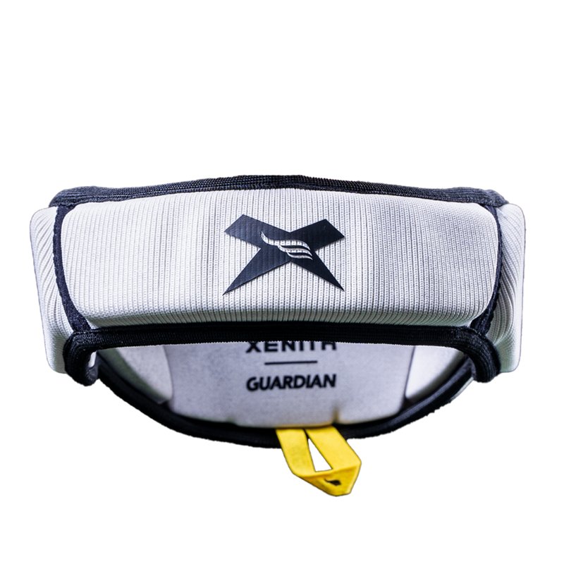 Guardian & Xenith L… - image