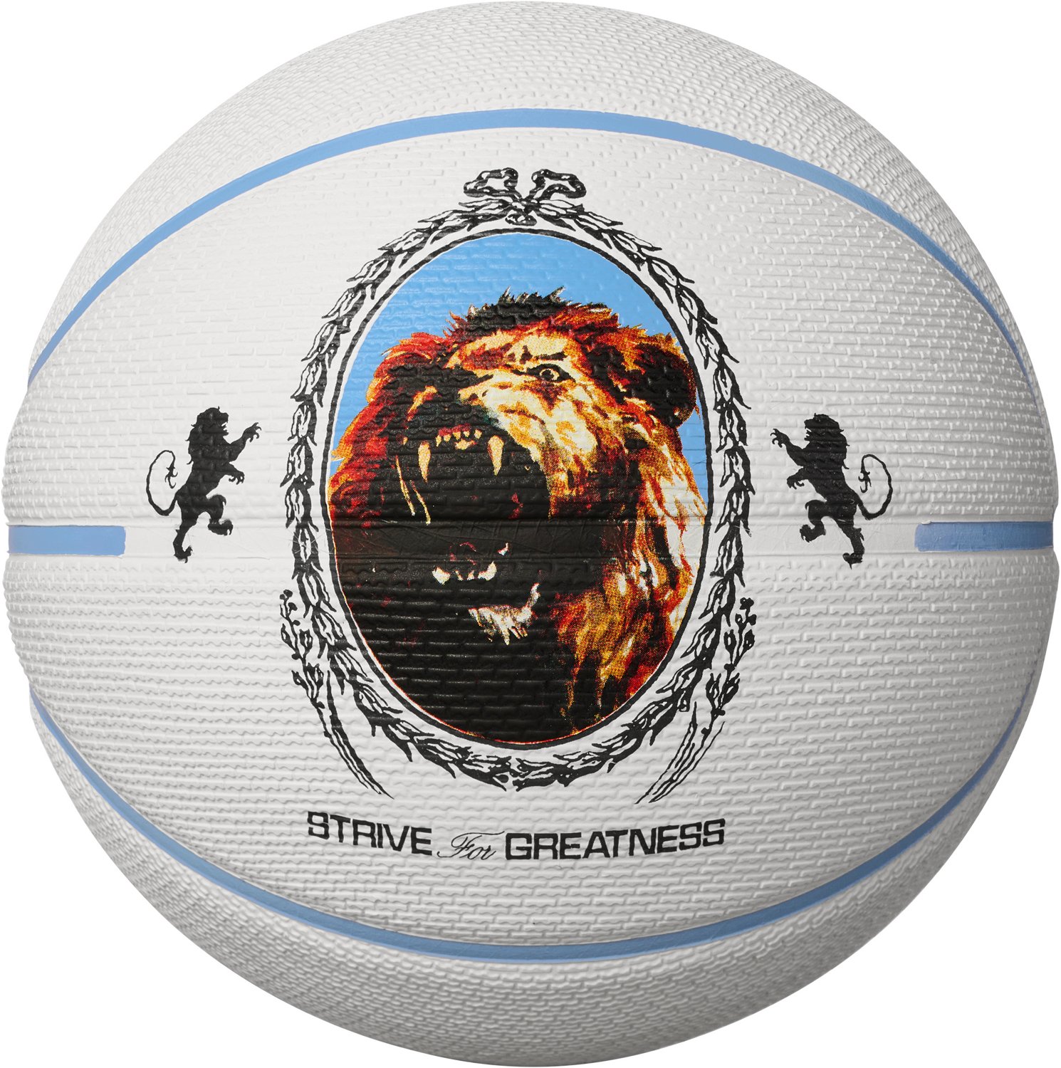 Lebron james playground basketball best sale