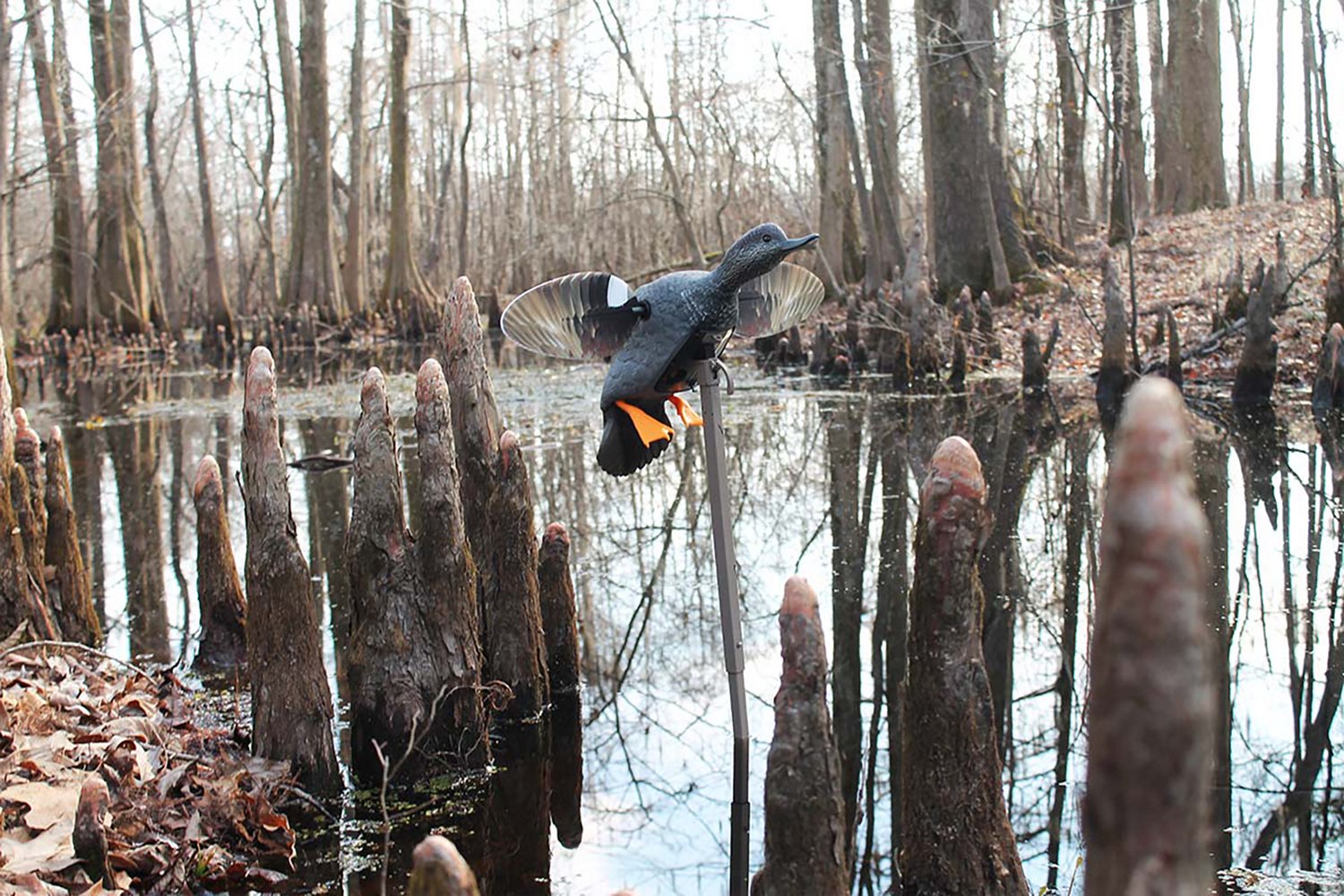 MOJO Elite Series Gadwall 3-Pin Duck Decoy - view number 2