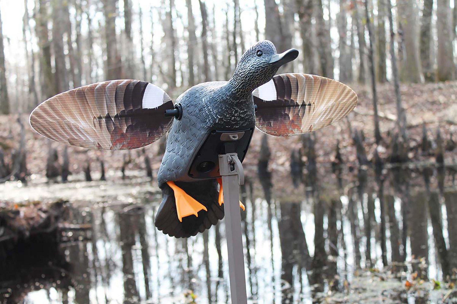 MOJO Elite Series Gadwall 3-Pin Duck Decoy - view number 3