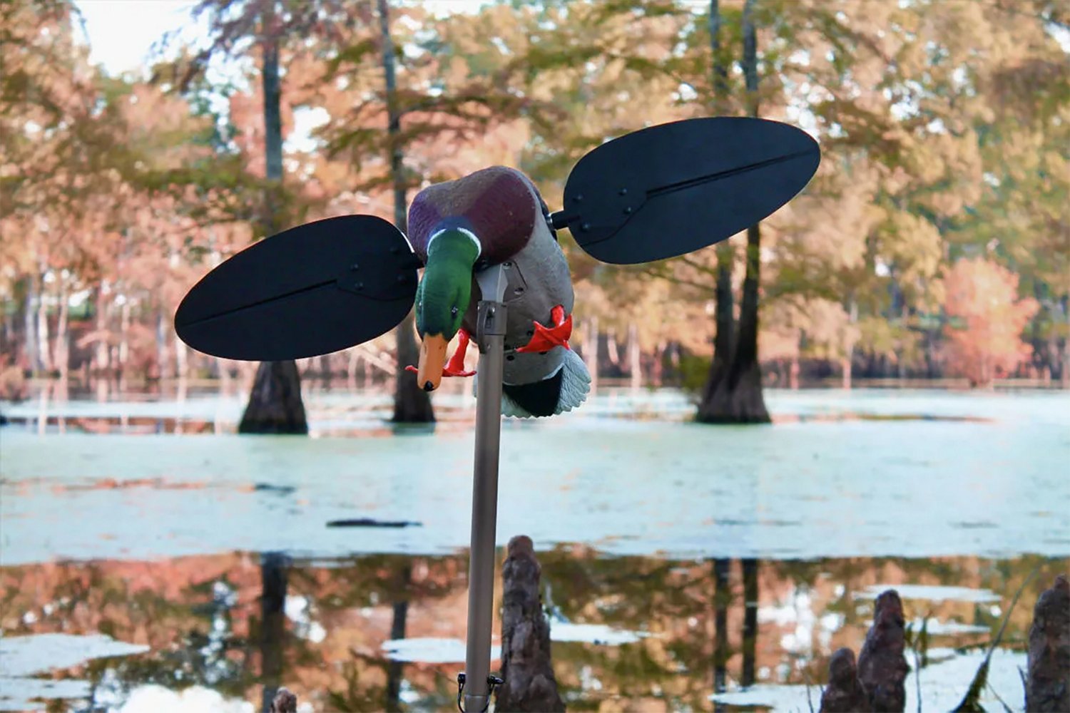 MOJO Mallard Drake Decoy                                                                                                         - view number 4