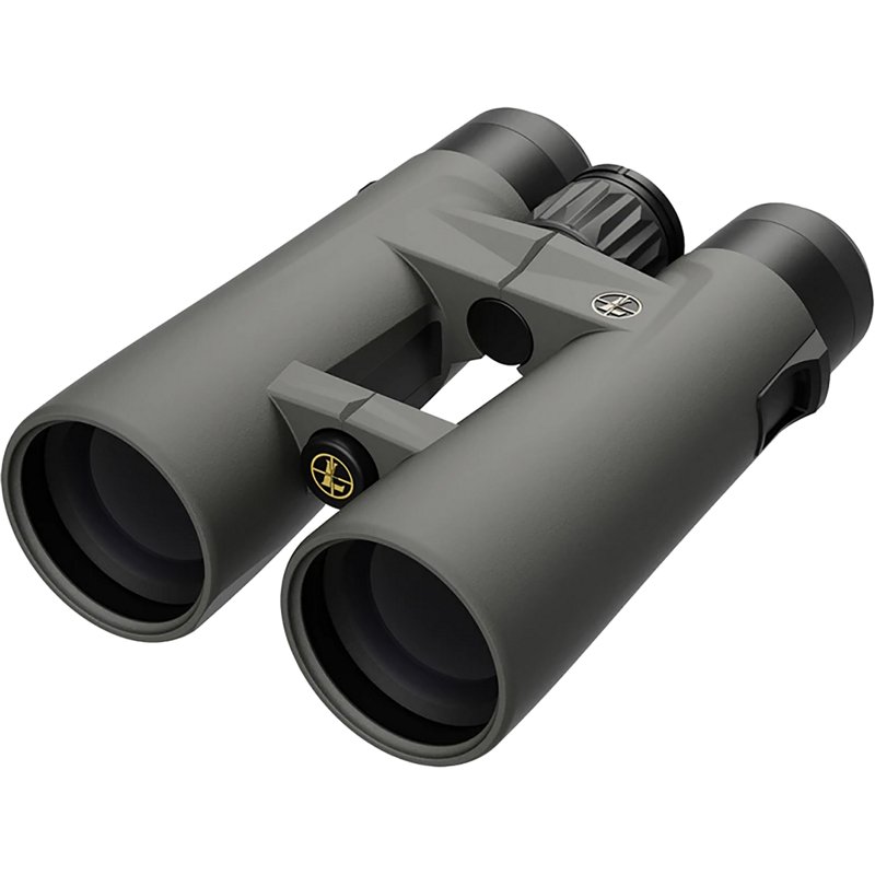 Leupold BX-4 Pro Gu… - image