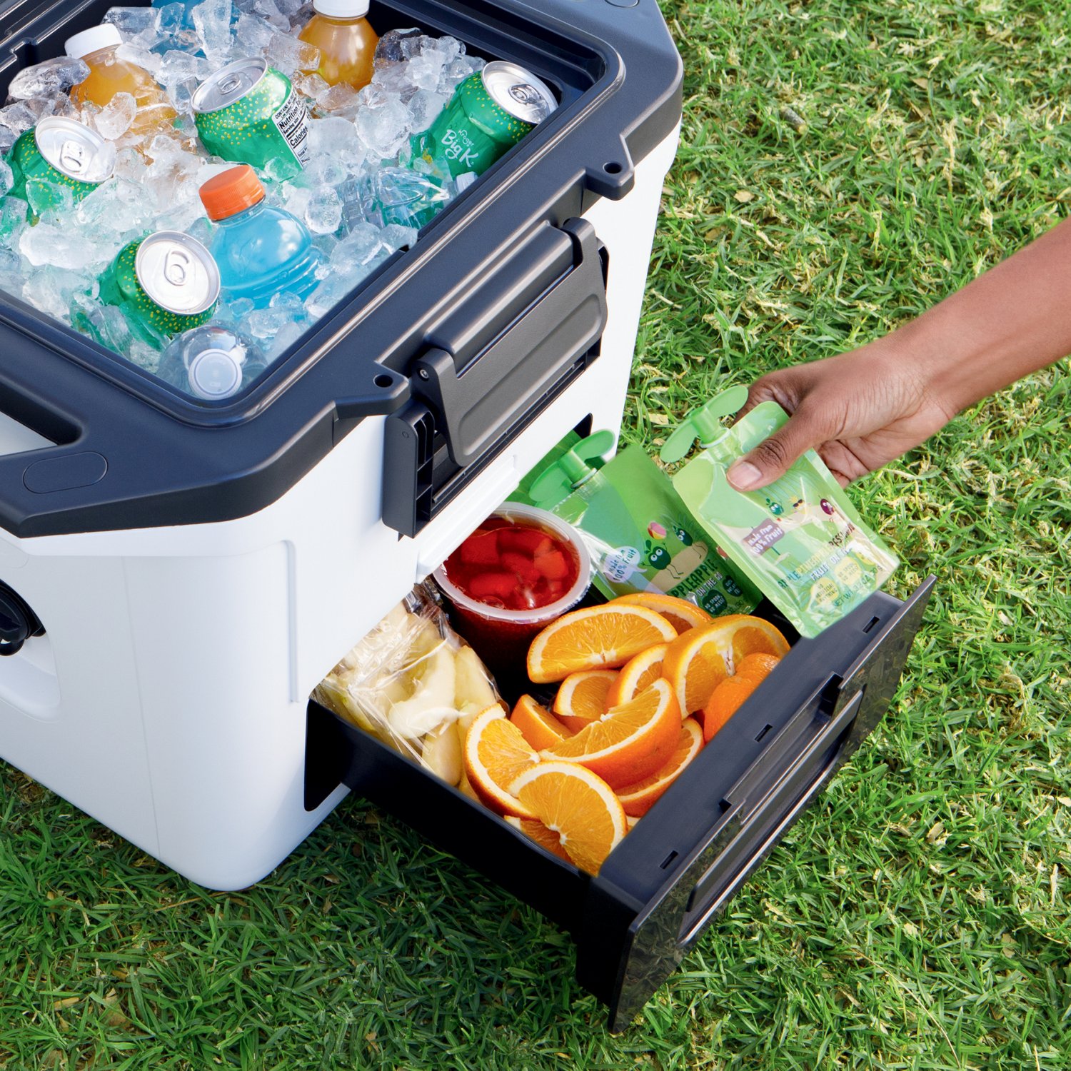 Ninja FrostVault 30qt Hard Cooler with Dry Zone                                                                                  - view number 6