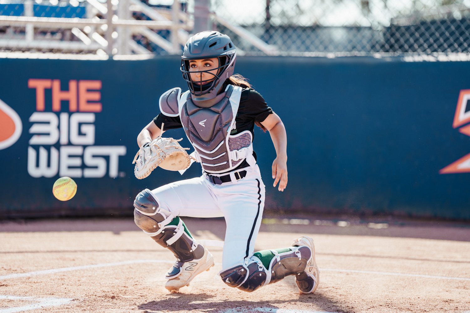 EASTON Jen Schro The Very Best Fast-Pitch Catcher's Leg Guards - view number 4