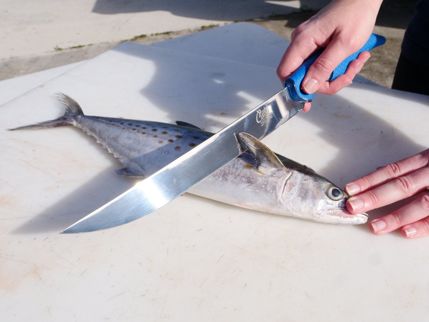 Cuda 10 in TI-Bonded Wide Semi-Flex Fillet Knife - view number 4