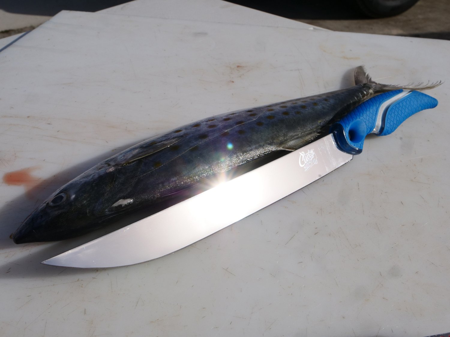 Cuda 10 in TI-Bonded Wide Semi-Flex Fillet Knife - view number 5