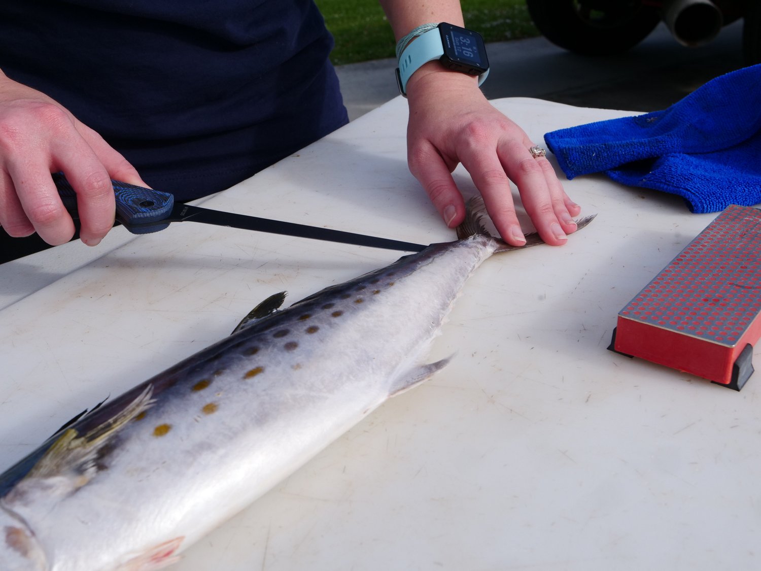 Cuda 6 in Professional Fillet Knife - view number 3