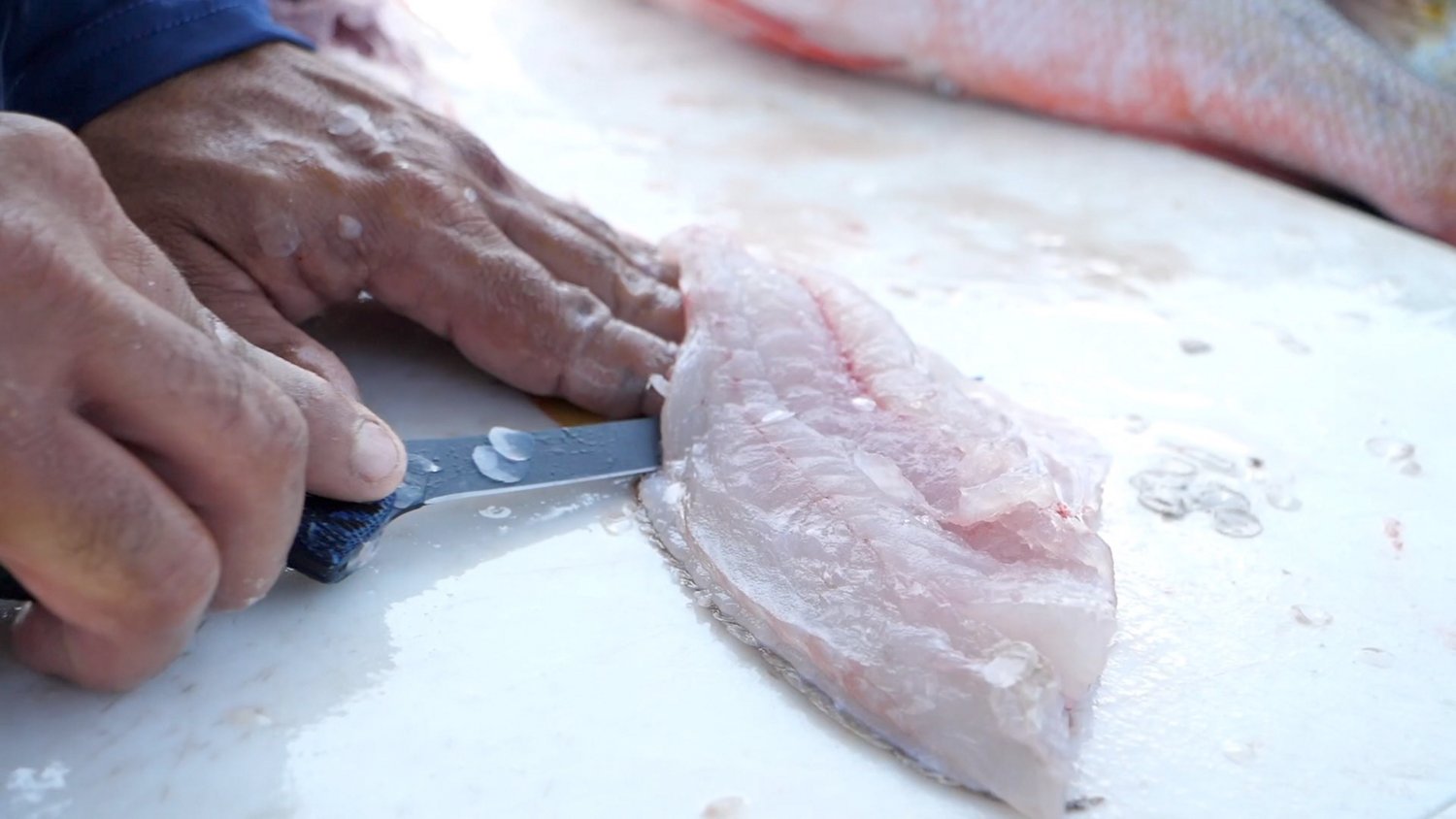 Cuda 6 in Professional Fillet Knife - view number 4