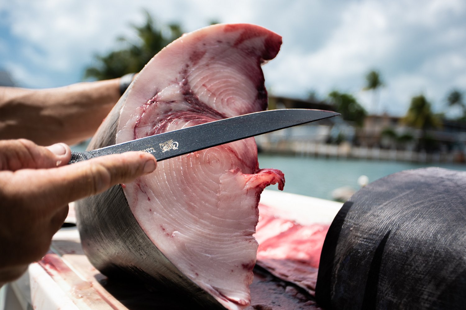 Cuda 7 in Professional Wide Semi-Flex Fillet Knife with Micarta Handle                                                           - view number 4