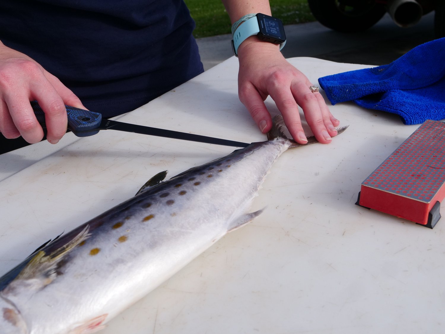 Cuda 9 in Professional Fillet Knife with Micarta Handle                                                                          - view number 5