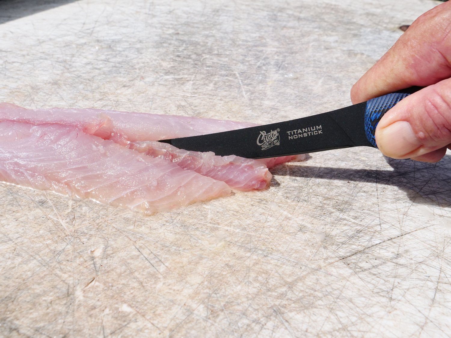 Cuda 6 in Professional Curved Boning Knife with Micarta Handle                                                                   - view number 5