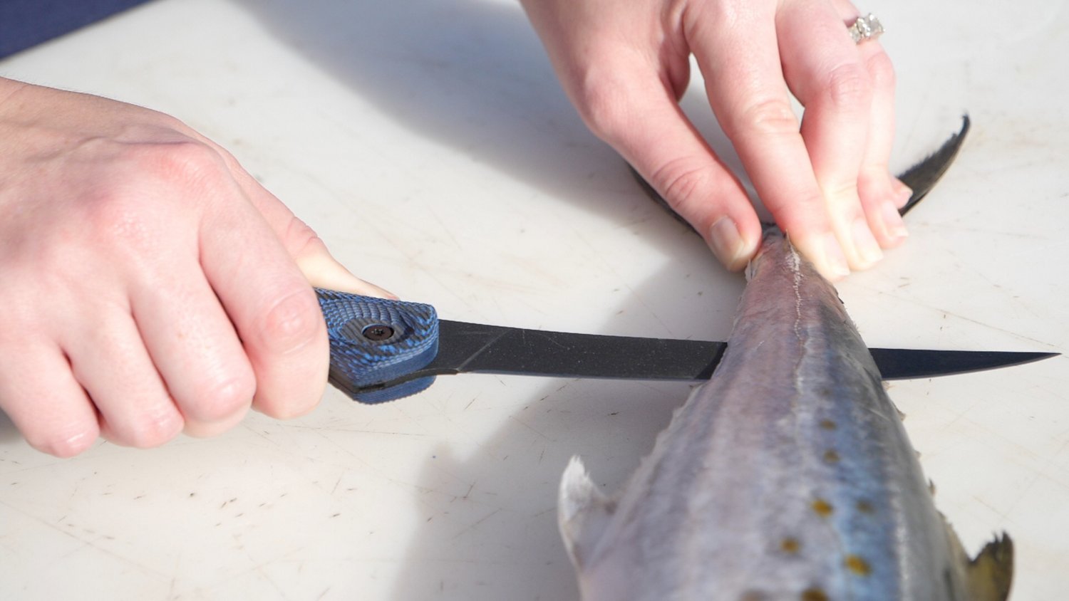 Cuda 6 in Professional Curved Boning Knife with Micarta Handle                                                                   - view number 7