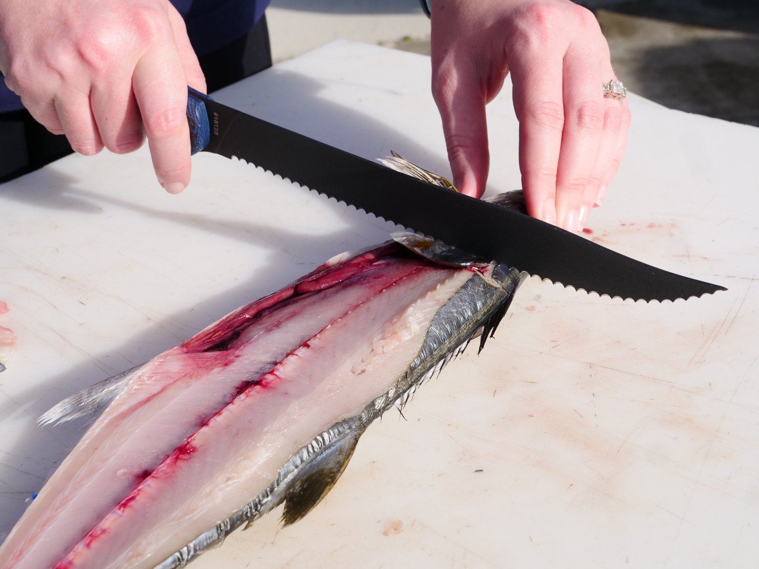 Cuda 9 in Professional Serrated Knife with Micarta Handle                                                                        - view number 5