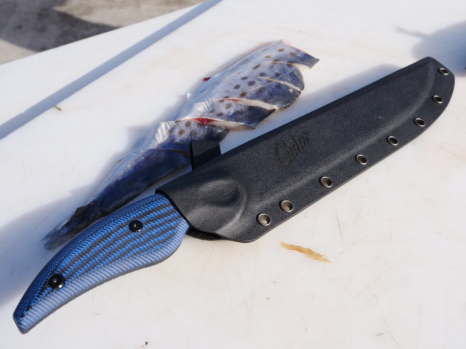 Cuda 9 in Professional Serrated Knife with Micarta Handle