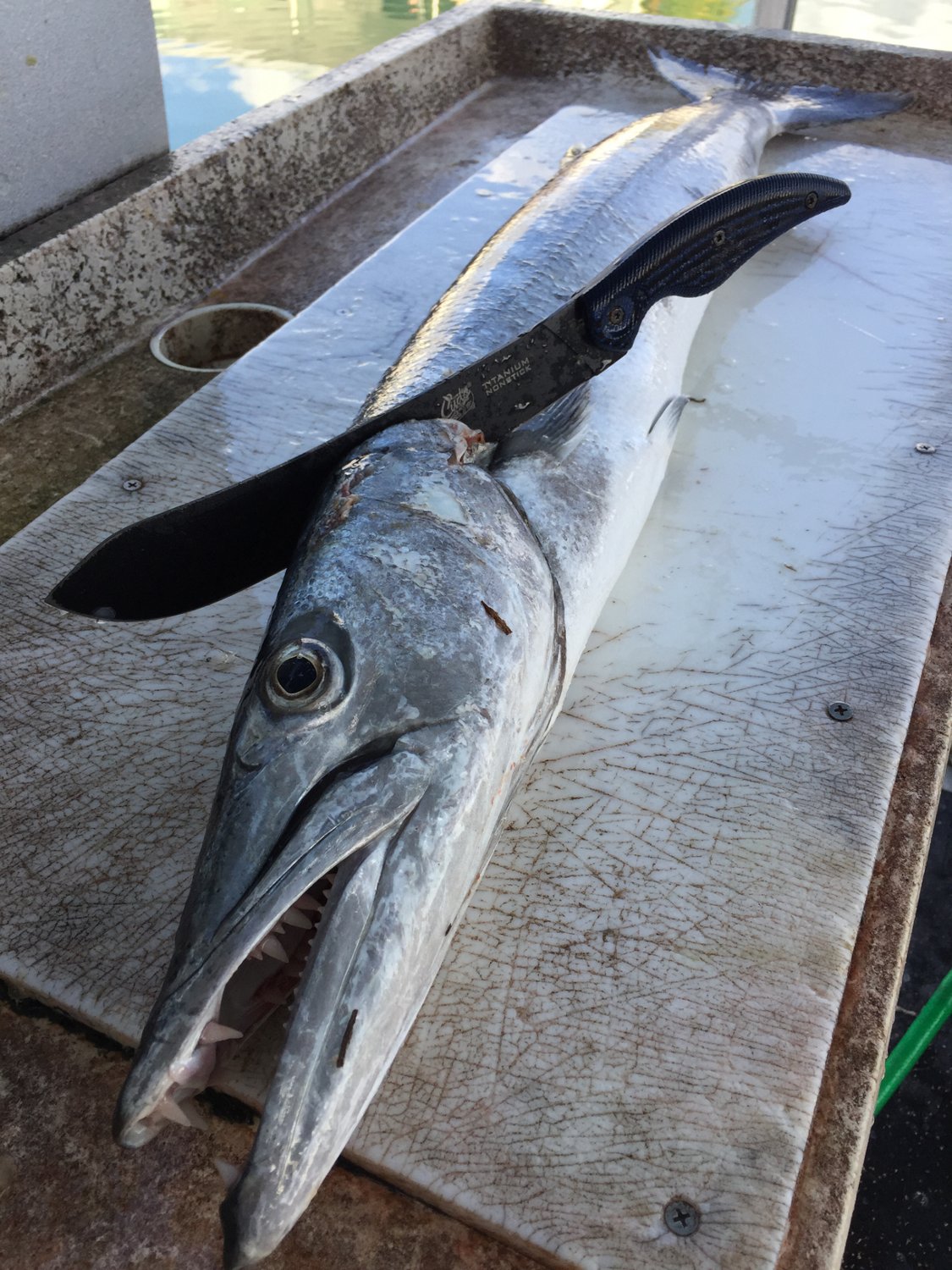 Cuda 10 in Professional Breaking Knife - view number 6