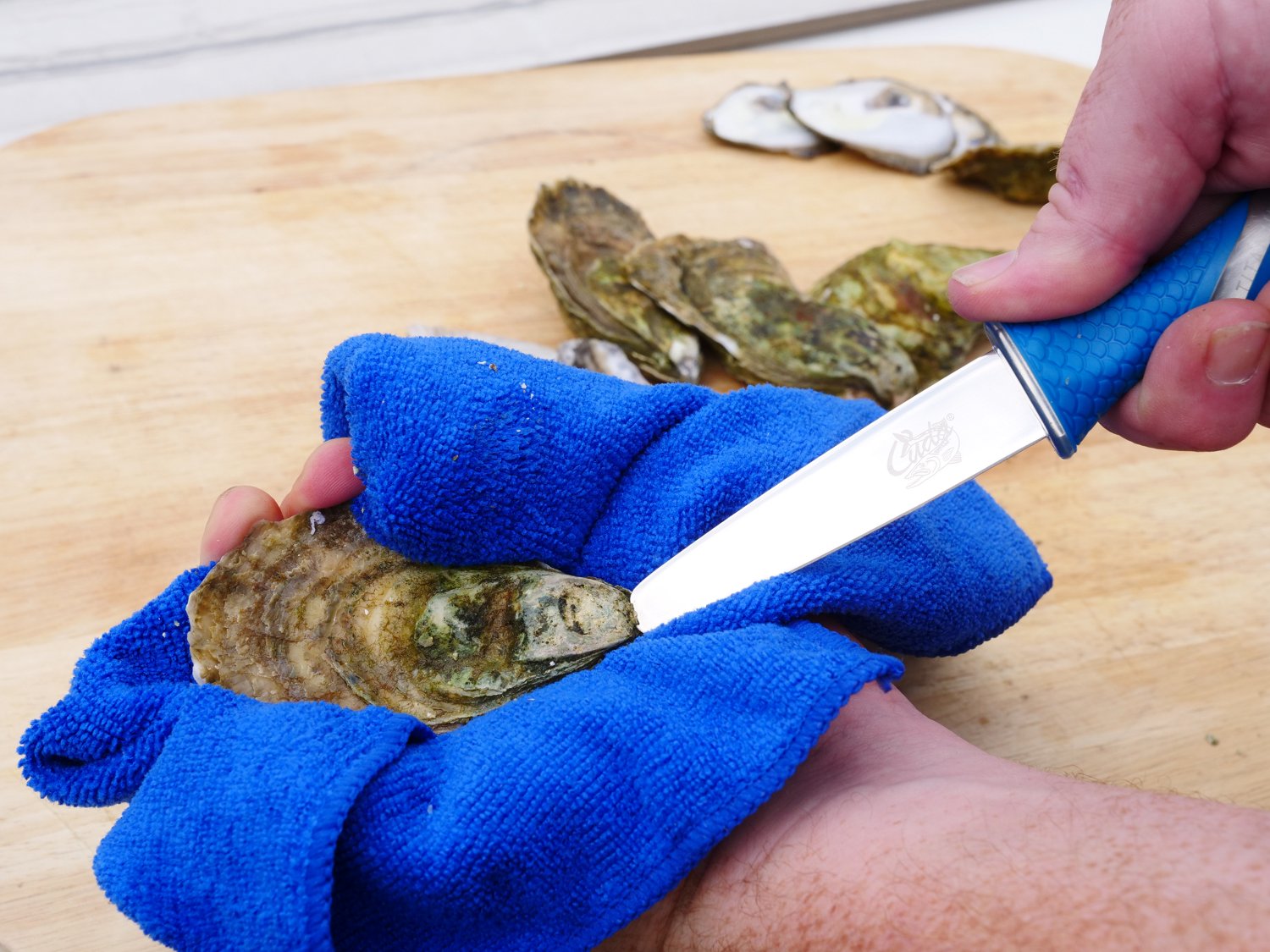 Cuda 3.5 in TI-Bonded Shucking Knife - view number 4