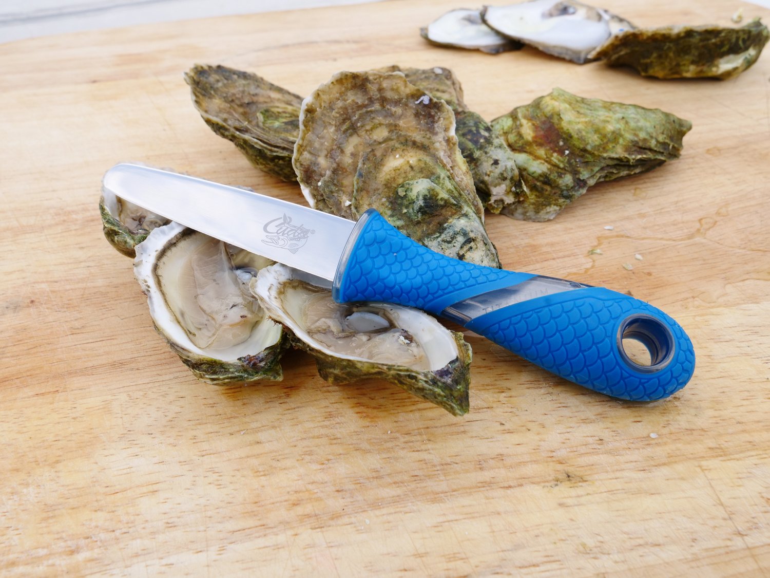 Cuda 3.5 in TI-Bonded Shucking Knife - view number 5