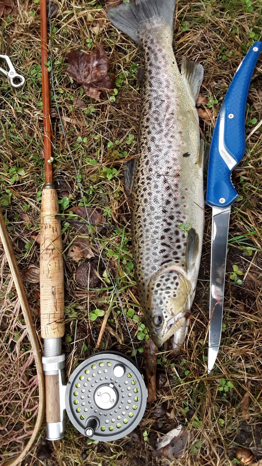 Cuda 6.5 in TI-Bonded Folding Fillet Knife - view number 7