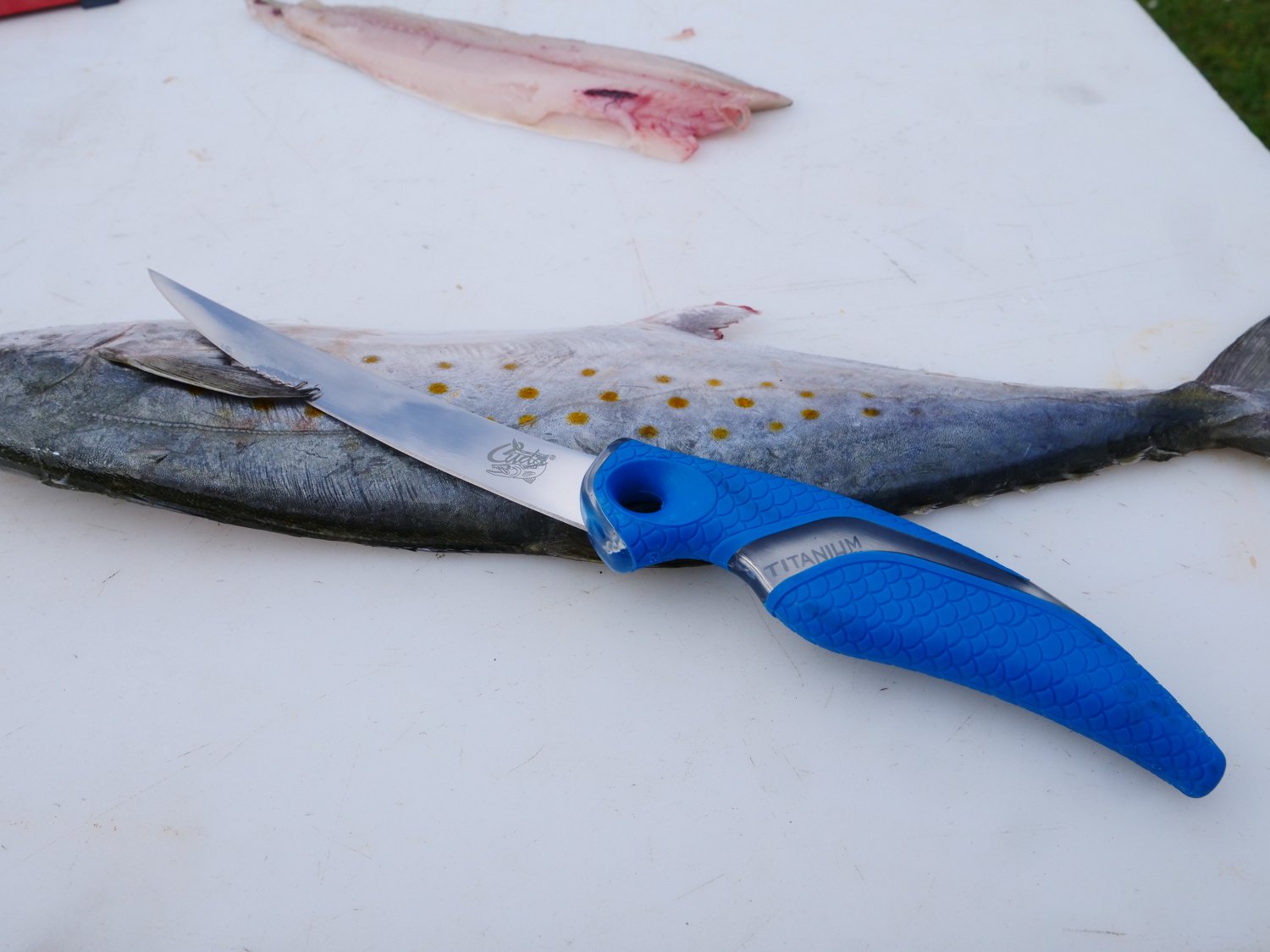 Cuda 6 in TI-Bonded Curved Boning Knife - view number 6