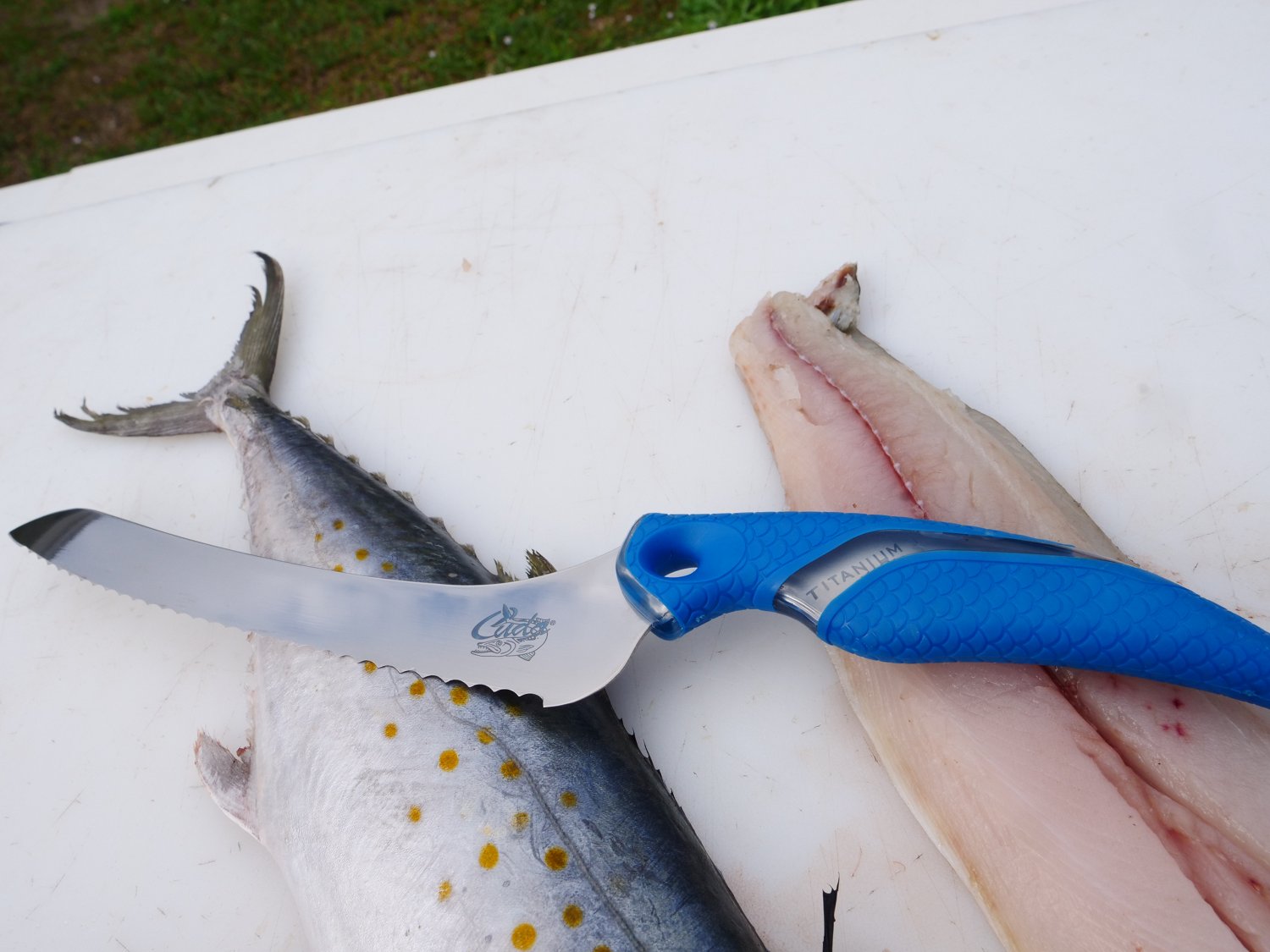 Cuda 9 in TI-Bonded Offset Serrated Knife - view number 5