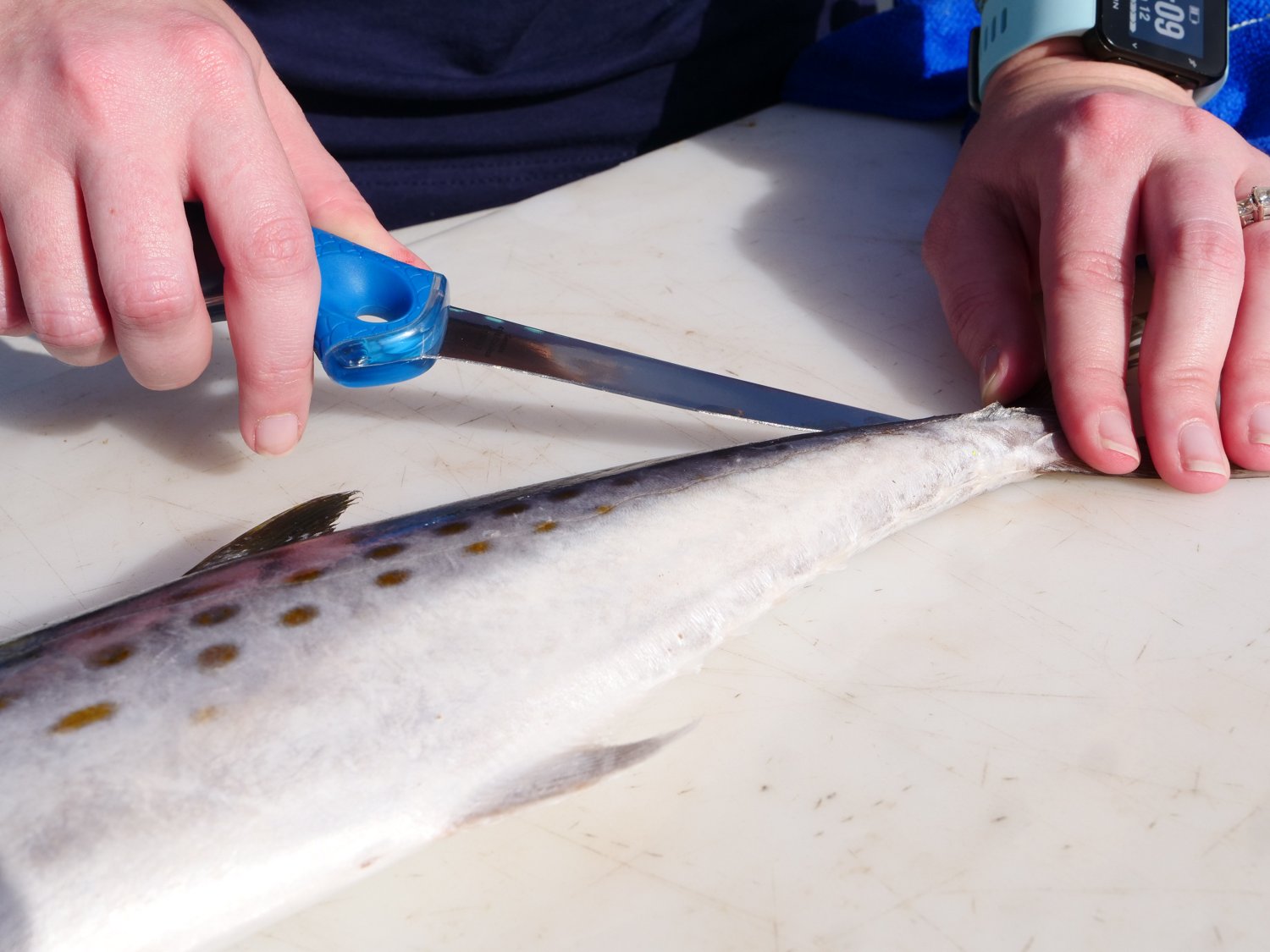 Cuda 4 in T-Bonded Flex Fillet Knife - view number 5