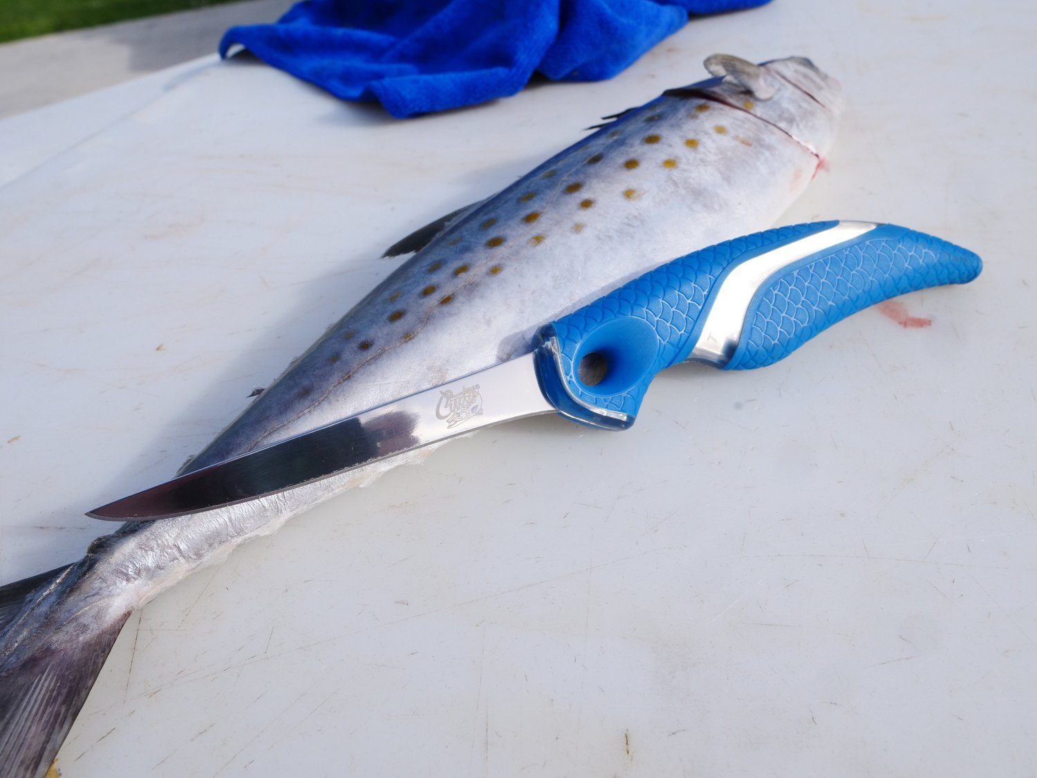 Cuda 4 in T-Bonded Flex Fillet Knife - view number 7