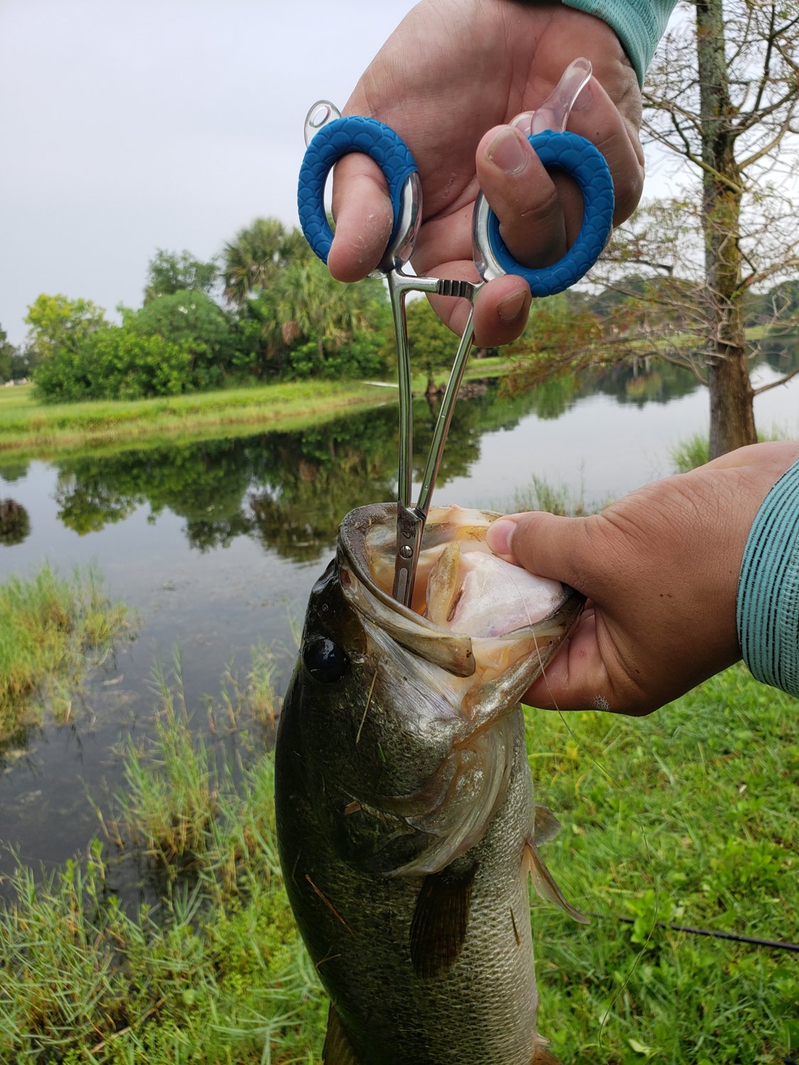 Cuda 7.5 in Freshwater SS Fishing Forceps