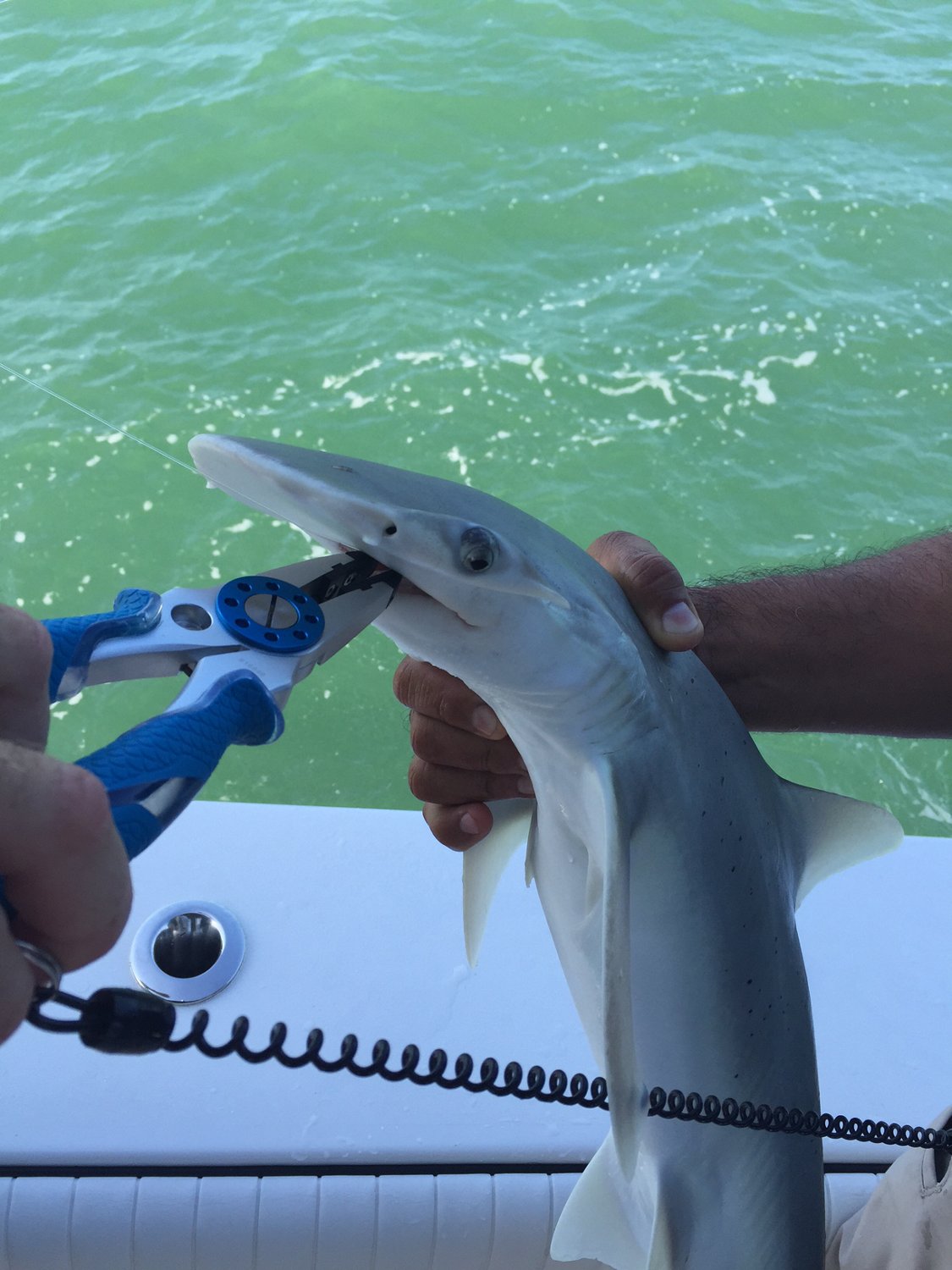 Cuda 7.5 in TI Mono and Braid Pliers